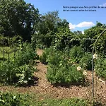Bed & Breakfast Le Grain De Louise Corcelles-en-Beaujolais