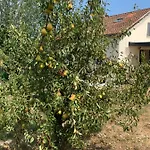 Le Grain De Louise Bed & Breakfast
