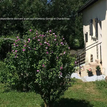 Le Grain De Louise Bed and breakfast Corcelles-en-Beaujolais