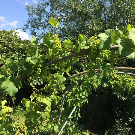 Le Grain De Louise Corcelles-en-Beaujolais
