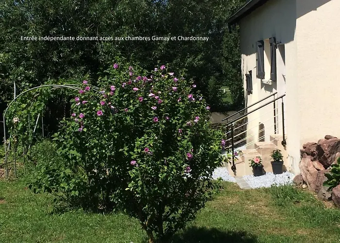 Le Grain De Louise Bed & Breakfast Corcelles-en-Beaujolais