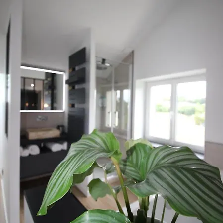 Bed & Breakfast Le Grain De Louise Corcelles-en-Beaujolais