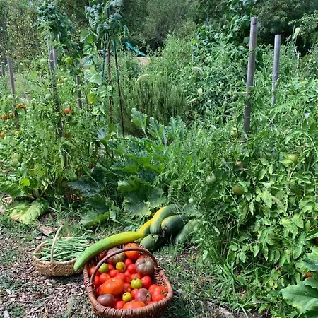 Le Grain De Louise Frühstückspension