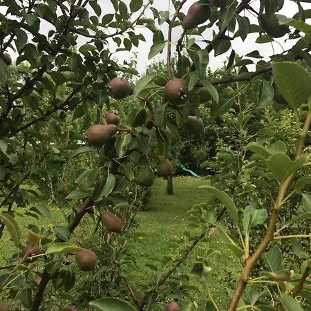 Bed & Breakfast Le Grain De Louise